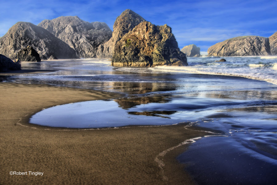 Oregon Coast #3598